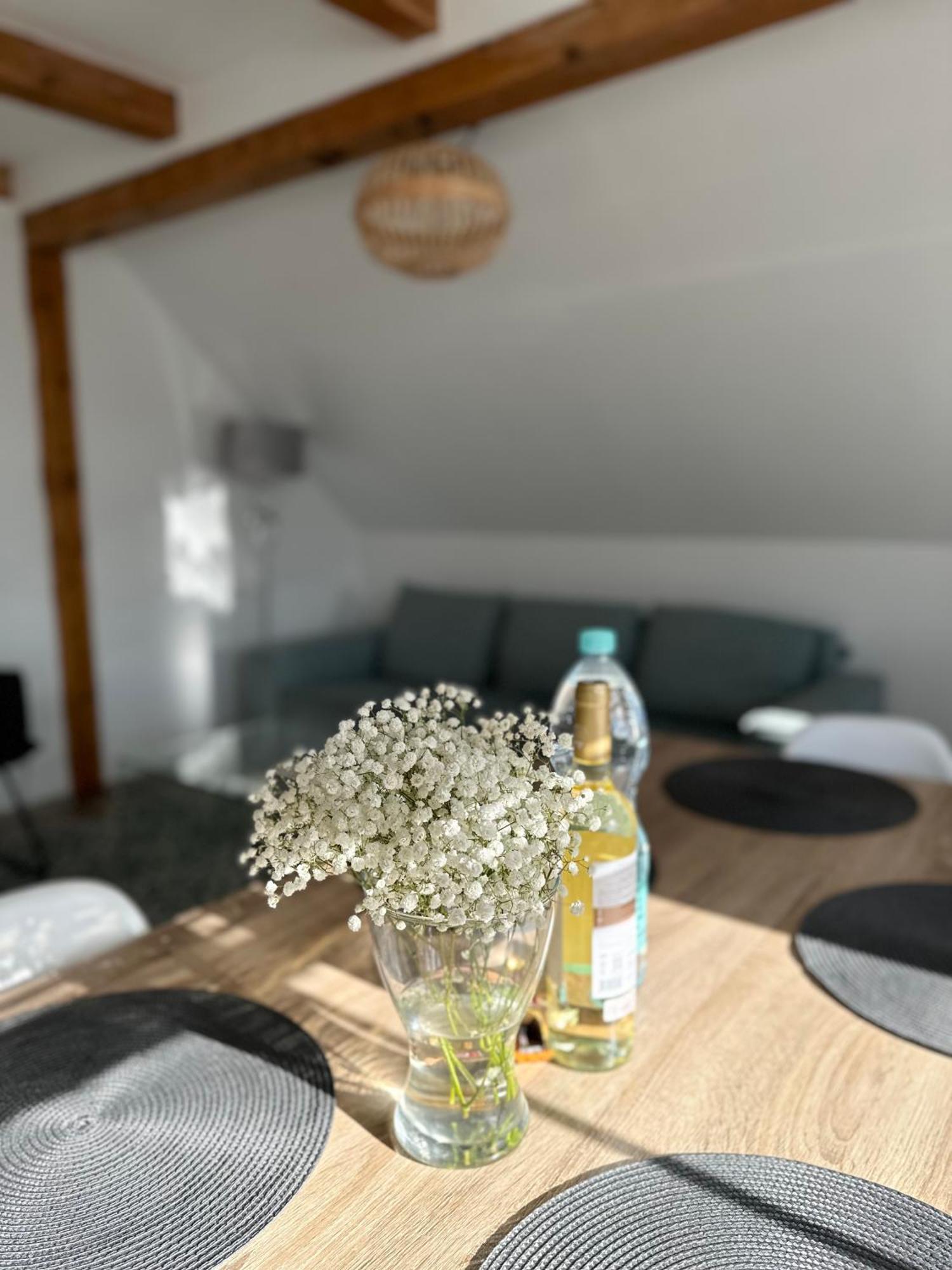 Klimatyczny Apartament Nr 8 Z Widokiem Na Gory Sowie Bielawa  Kültér fotó